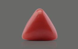 Red Coral - TC 5115(Origin - Italy) Limited - Quality